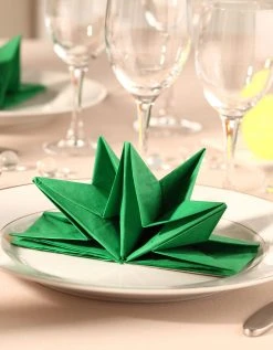 Blancheporte Lot De 12 Serviettes Prépliées