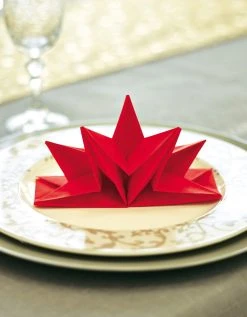 Blancheporte Lot De 12 Serviettes Prépliées