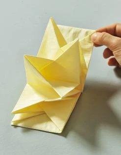 Blancheporte Lot De 12 Serviettes Prépliées