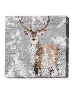 Blancheporte Serviette Papier "renne" - Lot De 20